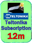 Sub Teltonika - 12 months